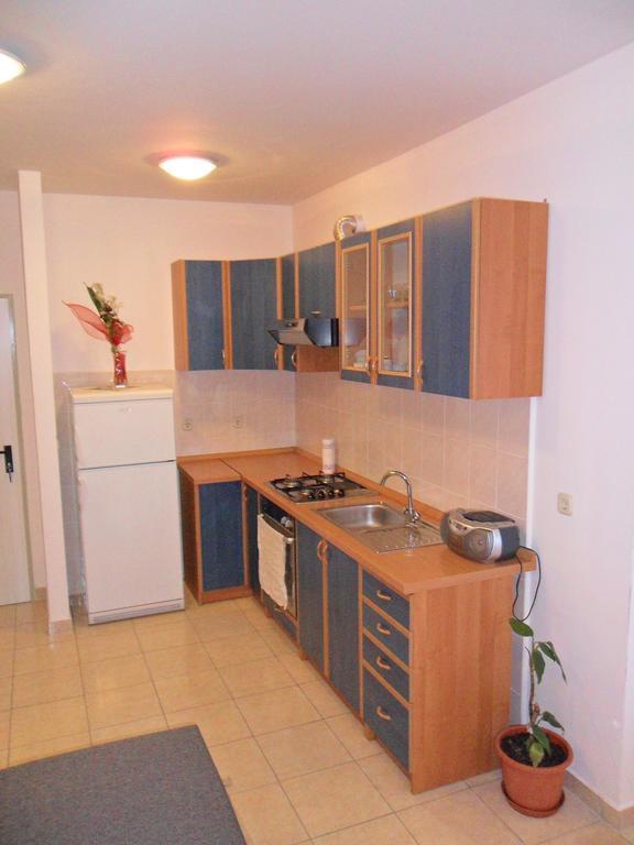 Apartment Kiko 로고즈니차 객실 사진